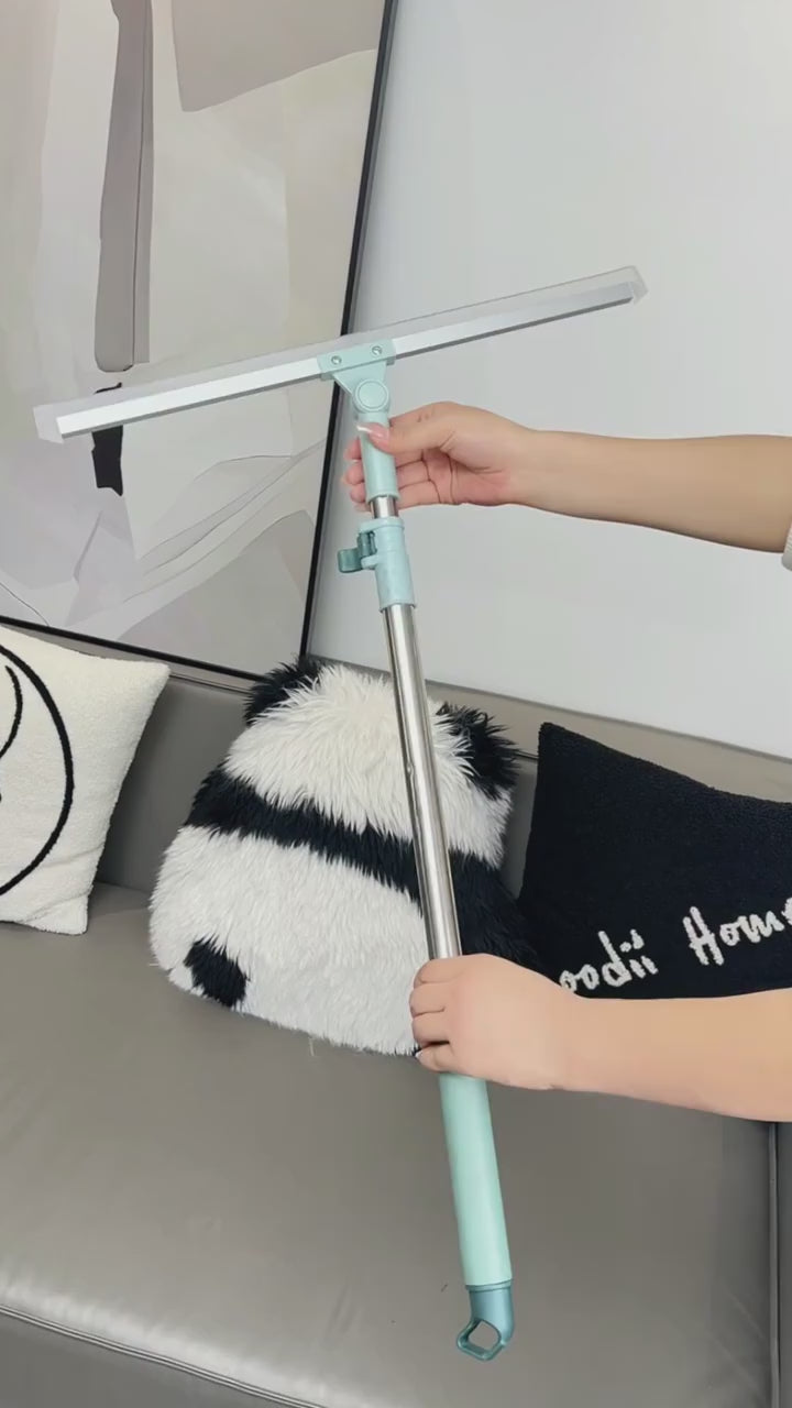 Multifunctional wiper